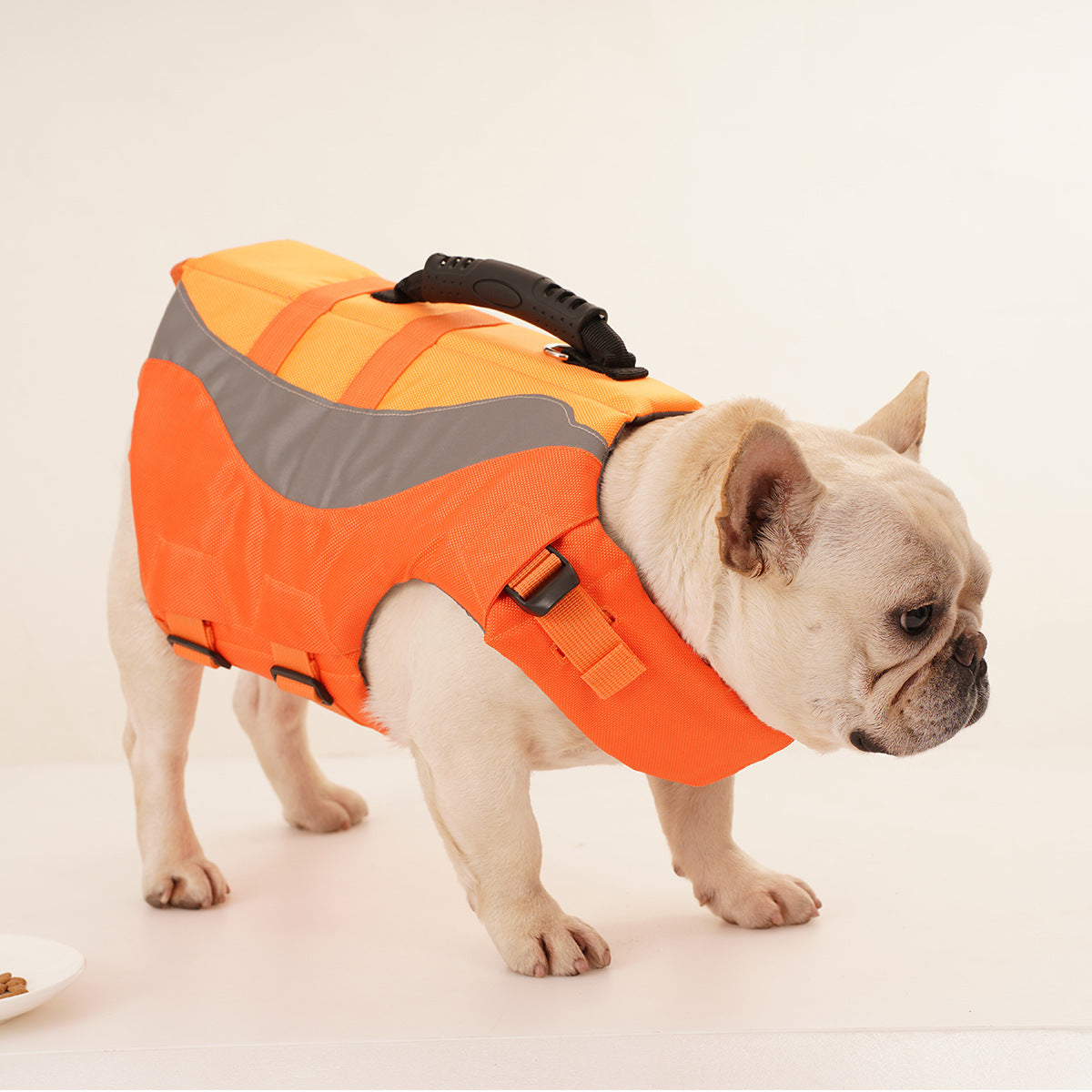 Why Your Pet Needs a Reflective Swimsuit Life Jacket This Summer